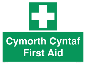 Cymorth Cyntaf First Aid in Welsh